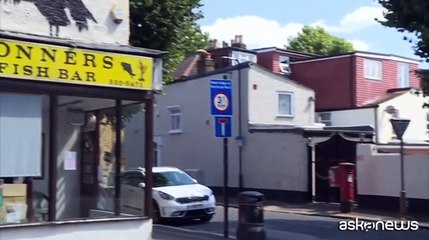 Il safari di Banksy a Londra continua con i pellicani