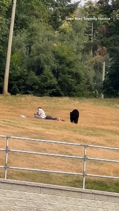 Nerve-Wracking Footage Shows Wild Bear Creeping Closer Toward Oblivious Couple Sitting in Park