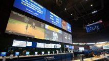 Sportsbooks Bounce Back After Unusual Betting Season
