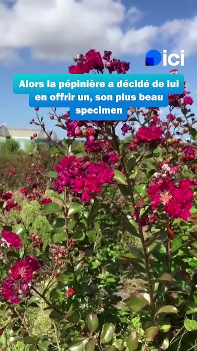 Un_arbuste_dune_pepiniere_landaise_part_-68bb01a4f10aba02b7ba5b6c_Sep_05_2025_17_38_08