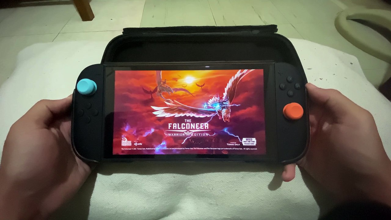 The Falconeer Warrior Edition on Nintendo Switch 2