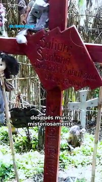 ¿La Isla de las Muñecas maldijo a Lady Gaga?