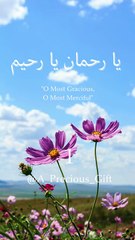 يا رحمان يا رحيم