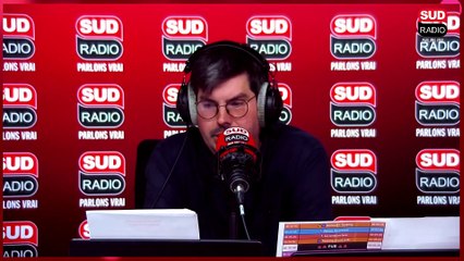 SPA : en 2025, les abandons d'animaux ont augmenté de 14% par rapport à l'été dernier