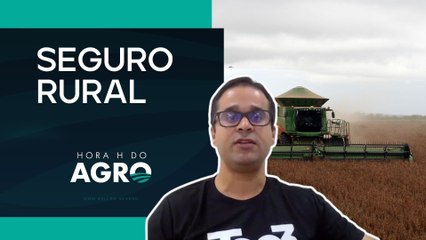 Seguro rural para pecuária cresceu 650% em 2025 | HORA H DO AGRO