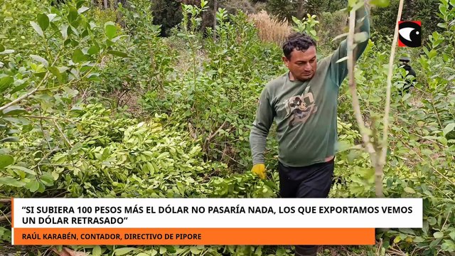 “Si subiera 100 pesos más el dólar no pasaría nada, los que exportamos vemos un dólar retrasado”, indicó Raúl Karabén