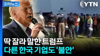 [자막뉴스] '미국 되찾기 작전'...역대급 단속에 트럼프 '단호한 반응' / YTN