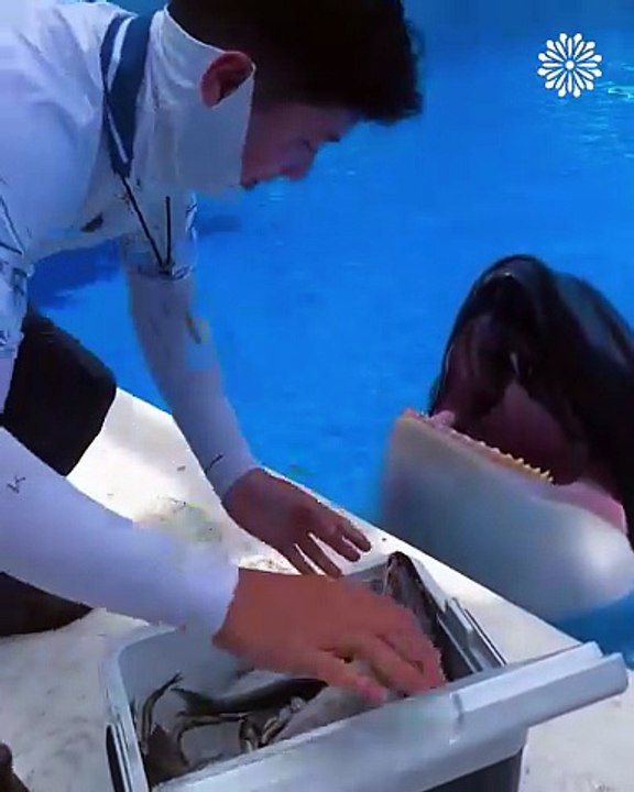 Feeding a whale🐋