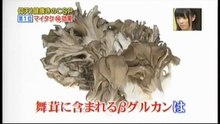命を救う医療技術   舞茸　まいたけ　ＭＤフラクション βグルカン　 免疫賦活効果  免疫活性化　神戸薬科大学 難波宏彰博士, 医療健康関連動画, ドキュメンタリー , 手術,  documentary, Doctor, medical technology
