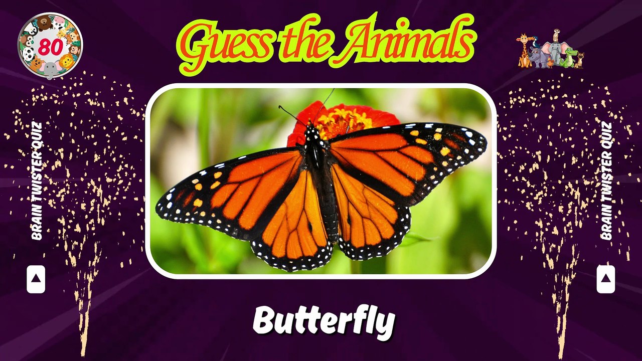 Can You Guess 200 Animals in 3 Seconds? | Brain...