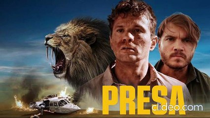 Presa (2024) pelicula completa español latino