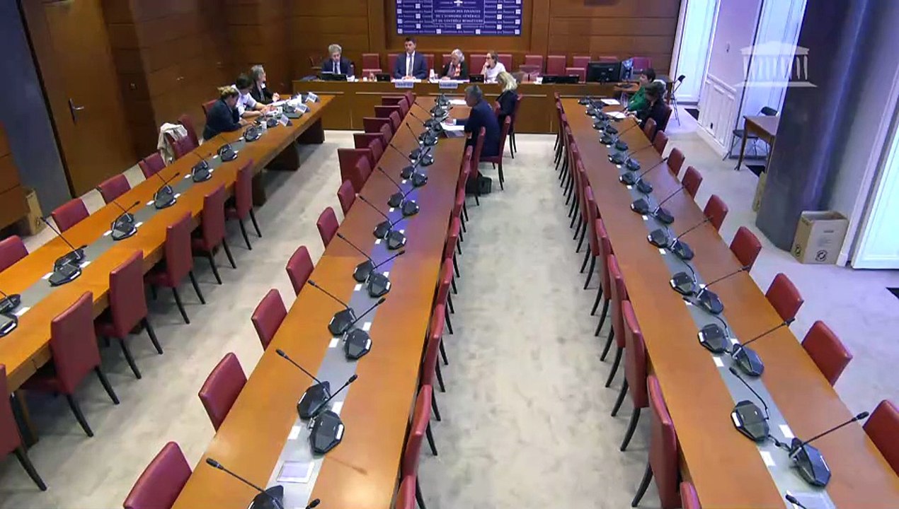 Prise en charge de la santé mentale et du handicap : Table ronde réunissant des psychiatres spécialisés en santé mentale des jeunes ; M. Pierre-Yves Baudot, professeur de sciences politiques à Paris 1 - Mercredi 3 septembre 2025