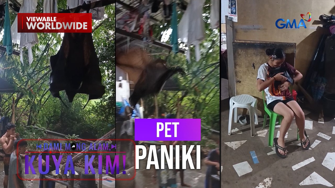 Paniki, ginagawang alaga ng isang pamilya? | Dami Mong Alam, Kuya Kim!