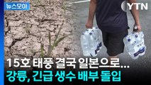 [뉴스모아] 기후 재난 '실시간 진행 중'… 최악의 가뭄에 무너진 강릉 / YTN