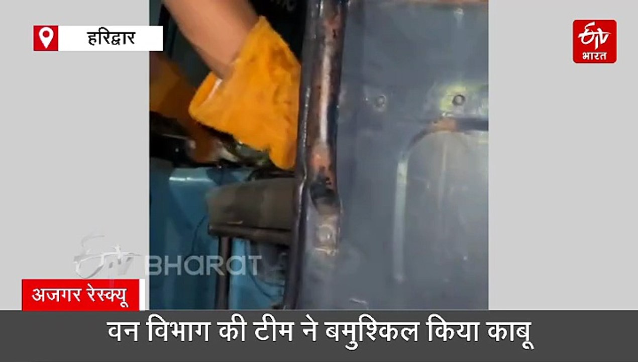 पुलिस वैन में घुसा विशालकाय अजगर, पुलिसकर्मियों के उड़े होश, देखें रेस्क्यू वीडियो