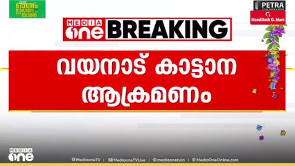 വയനാട് കാട്ടാന ആക്രമണം; കാട്ടികുളം ചേലൂർ ഉന്നതിയിലെ ചിന്നനാണ് പരിക്കേറ്റത്