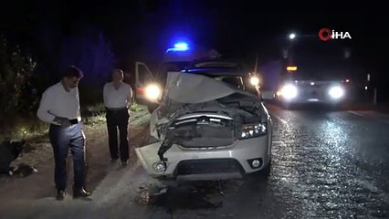 Yola çıkan hayvanlar kazaya neden oldu