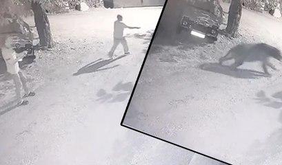 Erzincan'da bir garip kovalamaca: Köylüler gece saatinde peşine düştüler