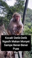 Seperti inilah cerminan koruptor itu, mereka tidak pernah merasa kenyang & puas, cenderung culas.