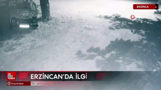 Erzincan'da iki arkadaş fenerle ayının peşine düştü