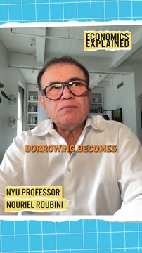 Unsustainable Borrowing in the USA- - Interview with Nouriel Roubini