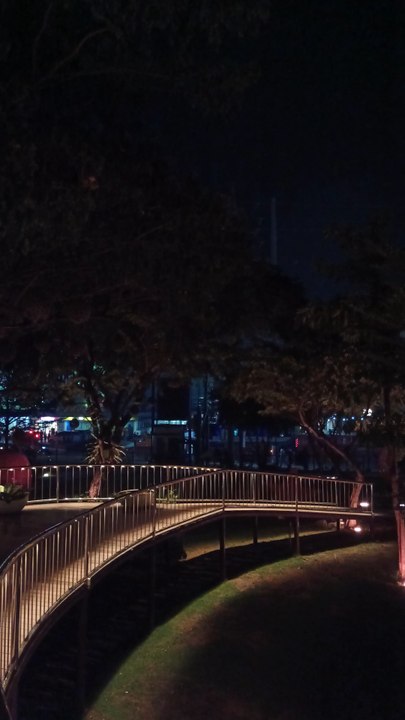 Park at Night