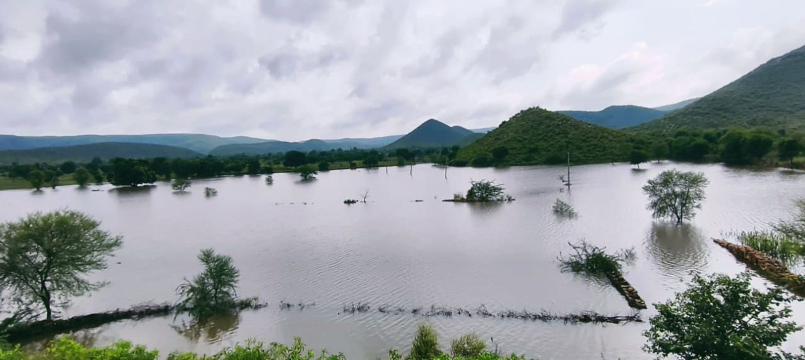 VIDEO: बीधोता बांध में पानी की आवक, खेतों में ड...