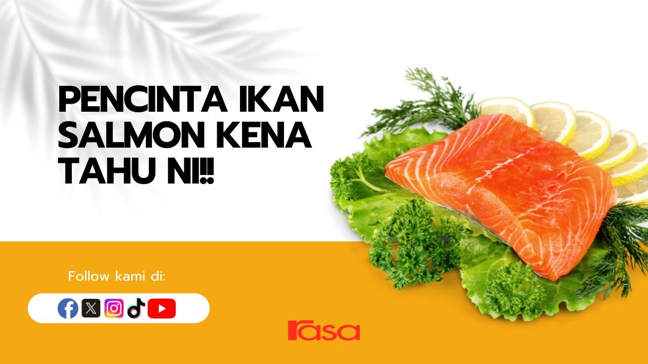 Pencinta Salmon Kena Tahu Ni!!