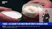 Les sachets de nicotine, prisés par les jeunes, interdits en France à partir de mars 2026