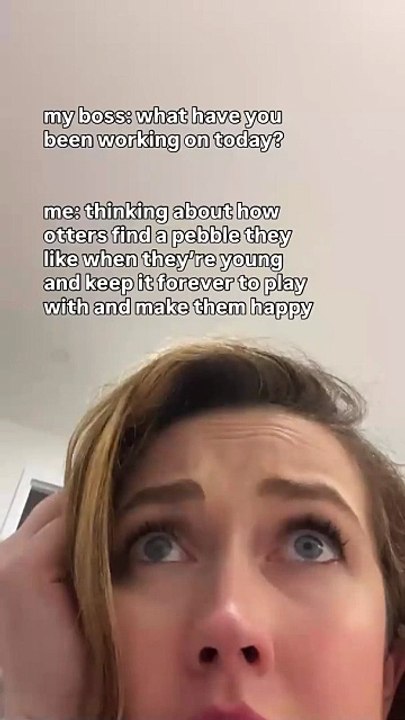 What else would I be doing? #otterlovers #marinebiology #cuteanimals #worklife