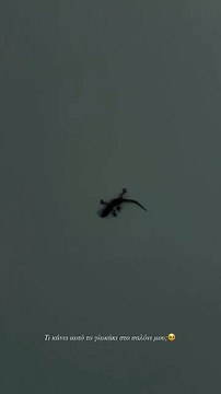 Ιωάννα Τούνη – Δήμητρα Αλεξανδράκη: Η εμφάνιση με Lamborghini και το «γούρικο» στο σαλόνι