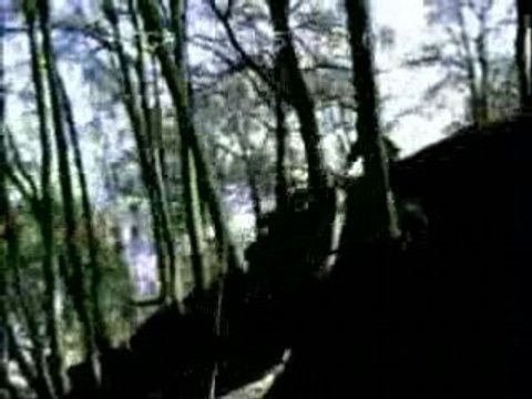 Dwight Redman dot com