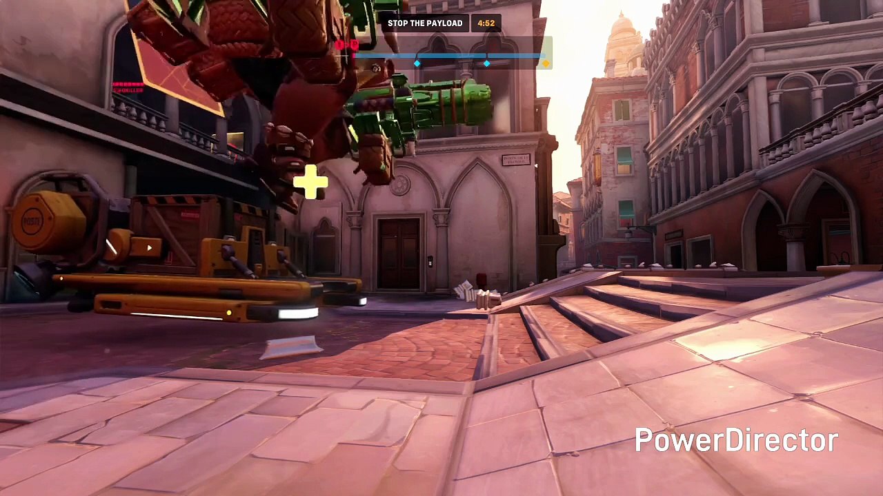 THE GOOFBALL REIN