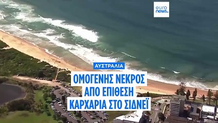 Αυστραλία: Νεκρός ομογενής σέρφερ από φερόμενη επίθεση μεγάλου καρχαρία