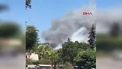 Tatil cenneti Bodrum'da orman yangını