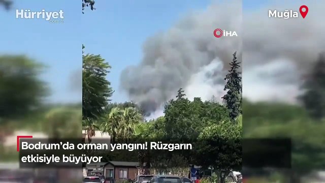 Bodrum’da orman yangını! Rüzgarın etkisiyle büyüyor