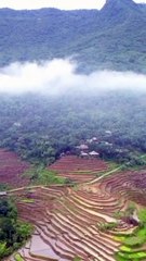 Best Quran Recitation in the World Emotional  HeartTouching quran shorts fyp islamicvideo720p