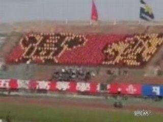 public tifos Lcd animation humaines