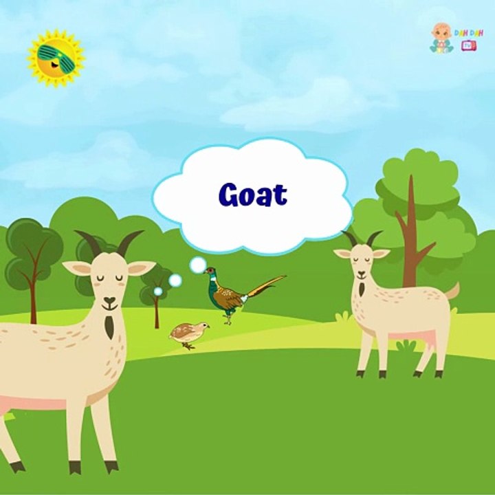 Fun on the Farm! 🚜🐮 Learn About Farm Animals for Preschool, Toddlers | Animal Learning Video |Education Videos | Preschool Learning |