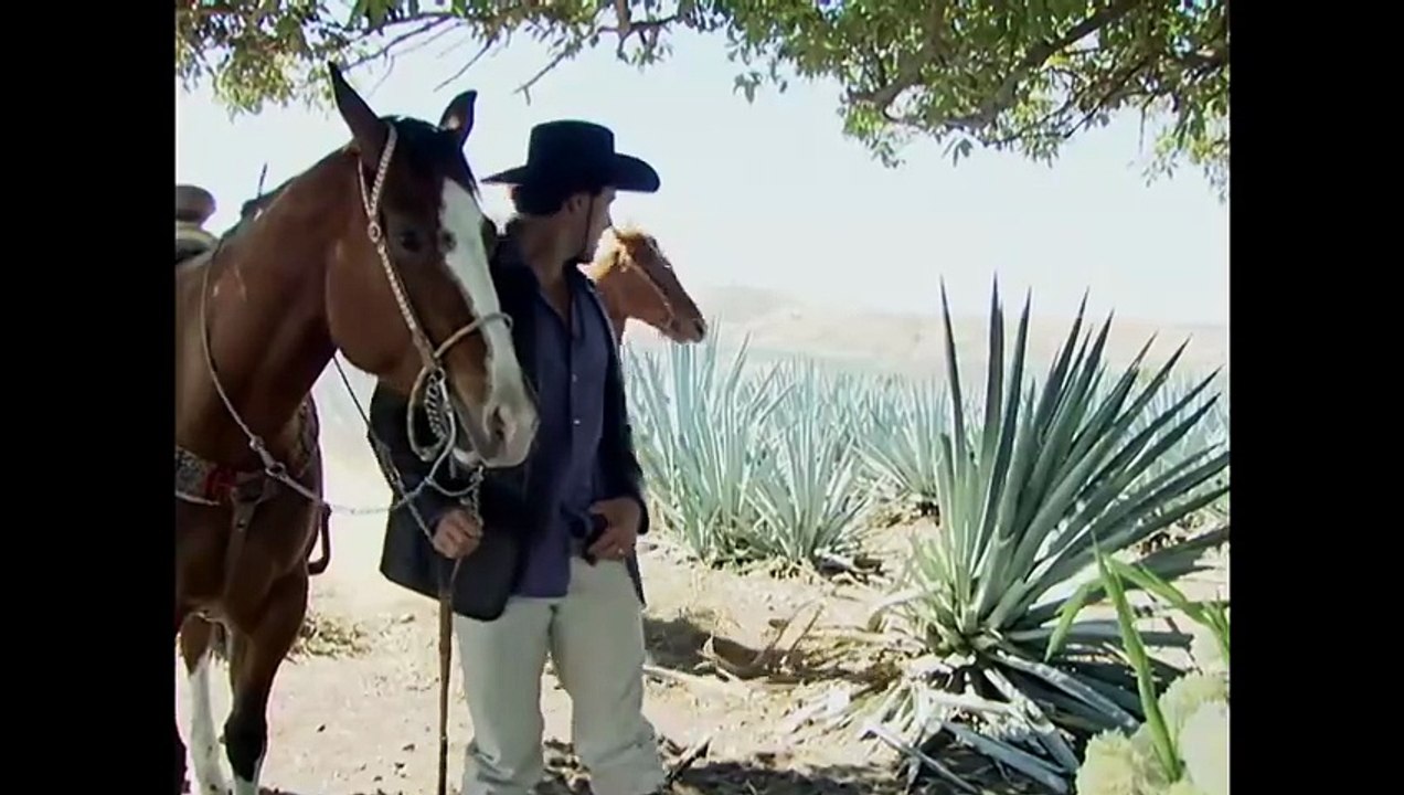 Destilando amor Capitulo 34