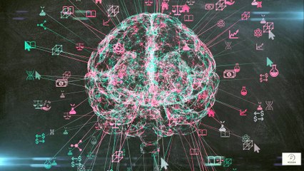 Seniors Over 60—Must Stay Curious Why Lifelong Learning Keeps the Brain Sharp