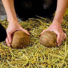 How Movies Make Their Special Sound Effects 🎬🔊