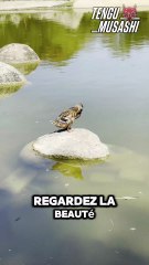 Visite du Zoo de Lyon 🦁