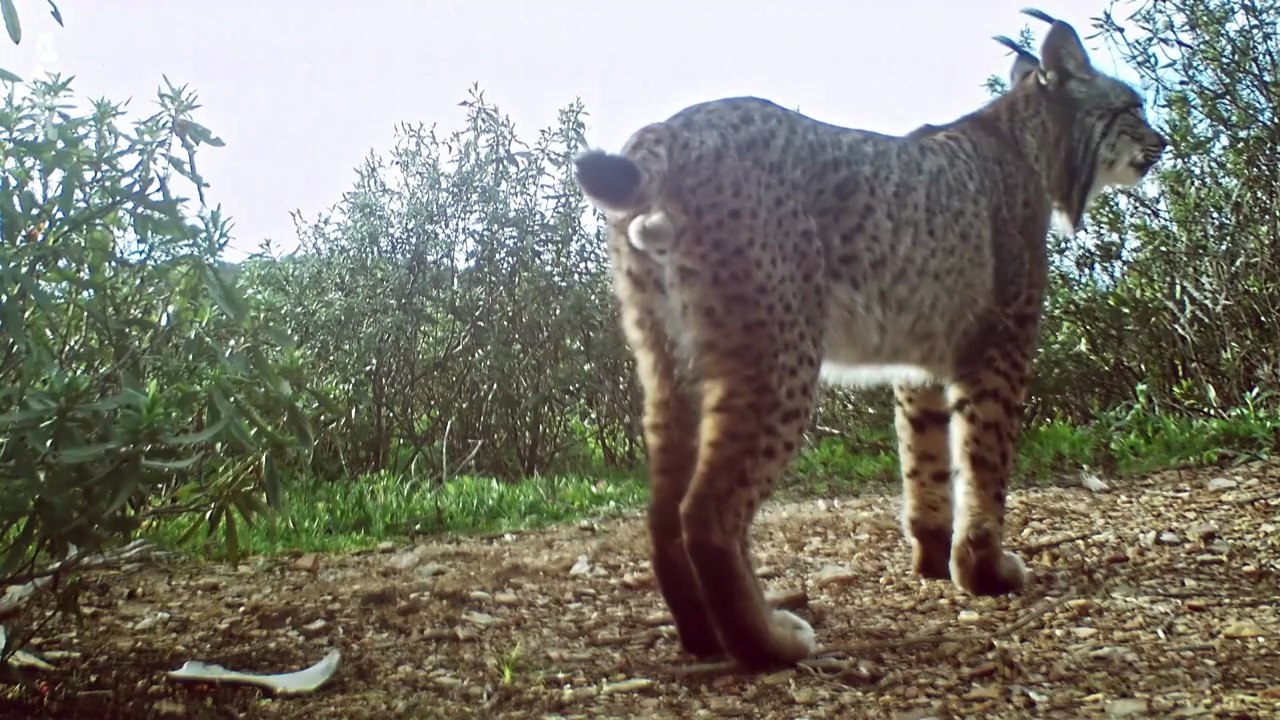 Les parcs naturels portugais : Le parc naturel de la vallée du Guadiana