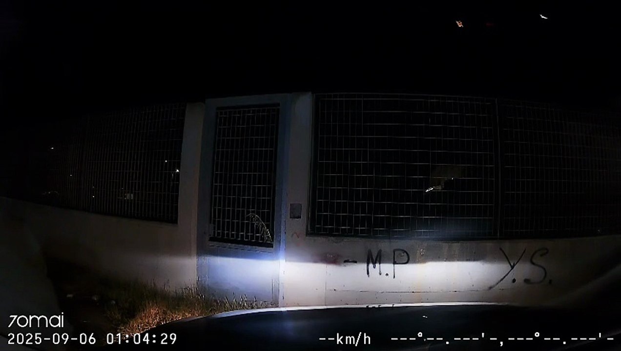 Raduno Tuning, auto si schianta a forte velocit?