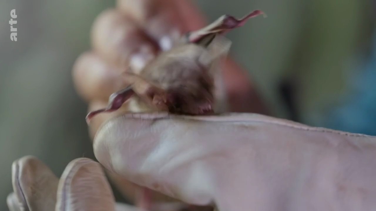 Les parcs naturels portugais - Le parc naturel de Serras de Aire et Candeeiros
