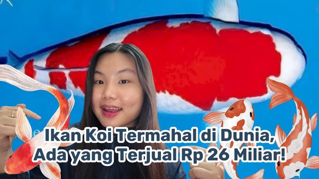 Ikan Koi Termahal di Dunia, Terjual hingga Rp26 Miliar-Serius Ini Hewan?