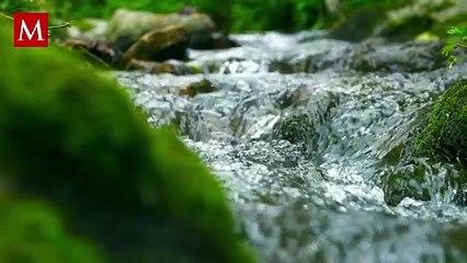 Youtuber Sagar Kundu de 22 años fallece tras ser arrastrado por la corriente