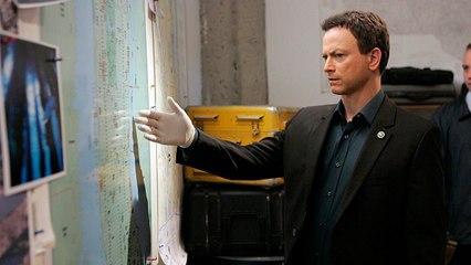 Les experts : Manhattan