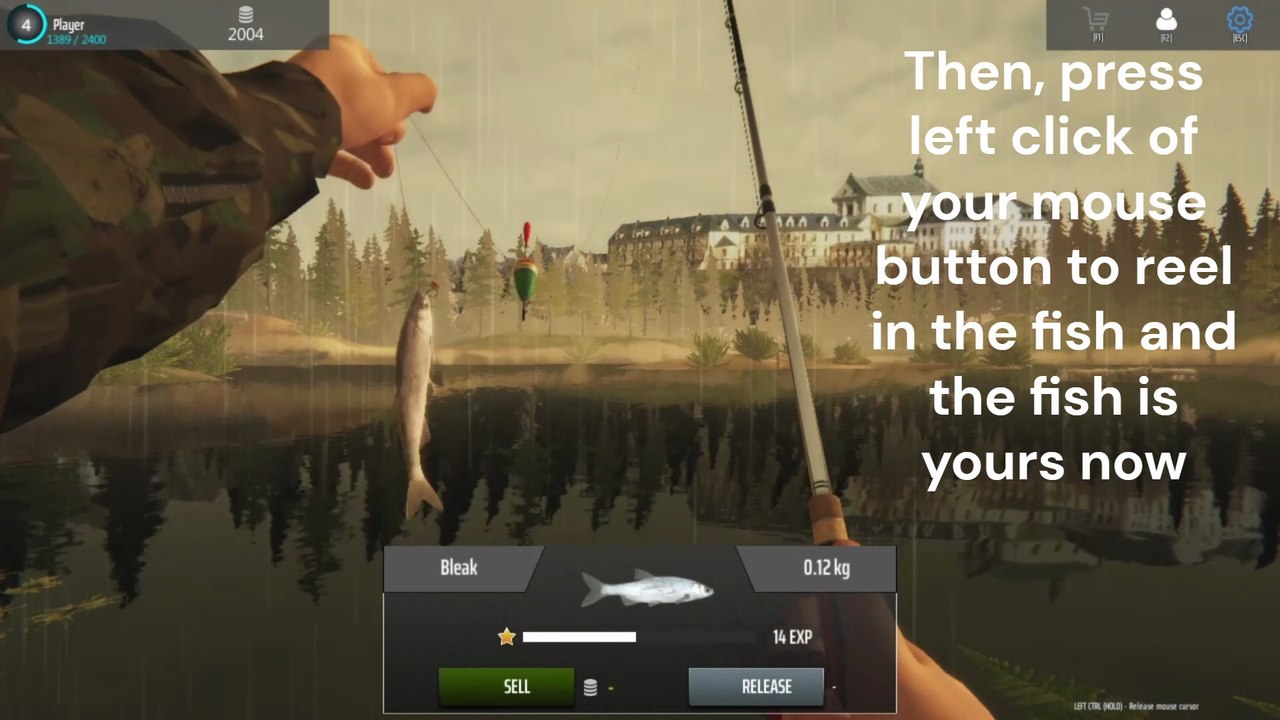 How to catch Bleak, Crucian Carp and Roach in Poland | Fishing Adventure